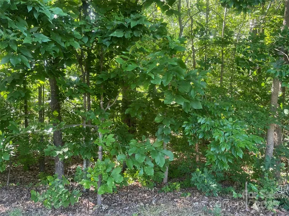 0 Silver Springs Rd, Norwood, NC 28128