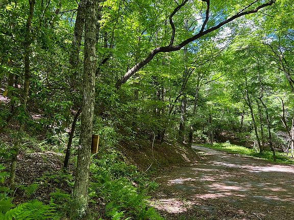 4th image of LOT 436 Okemah Ct