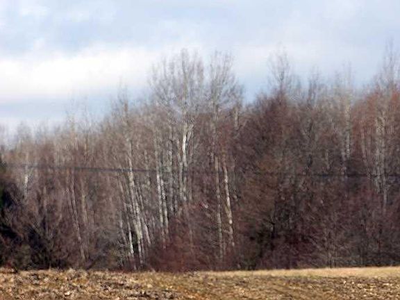 4th image of Lot 45B Us Route 1