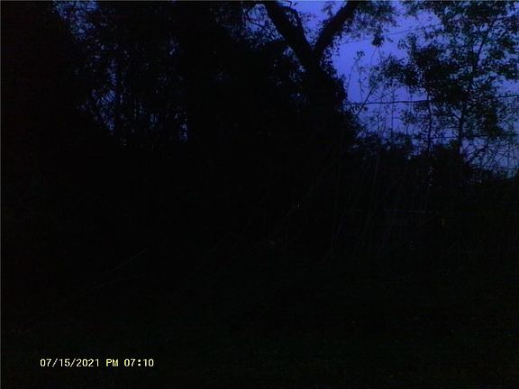 3rd image of 168 Louisiana St