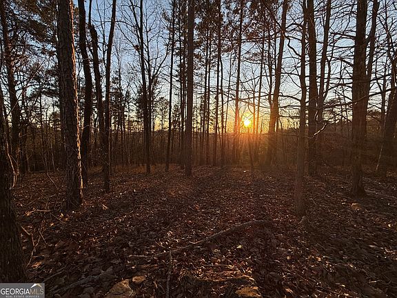 3rd image of 1344 Hunter Dr