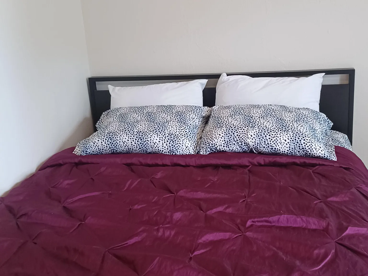 2 bed, 2.0 bath, 1900 sqft, $2,023 — Photo 1