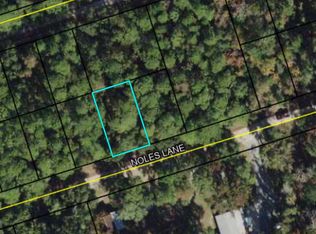40 Noles Ln #1, Crawfordville, FL 32327