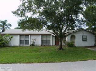 10107 Chimney Hill Ct, Tampa, FL 33615