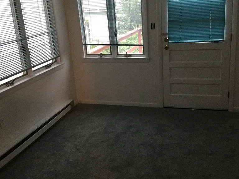 217 Arthur Ave #1 — Photo 8