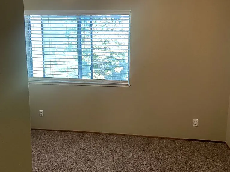 3617 Scottsboro Dr — Photo 15