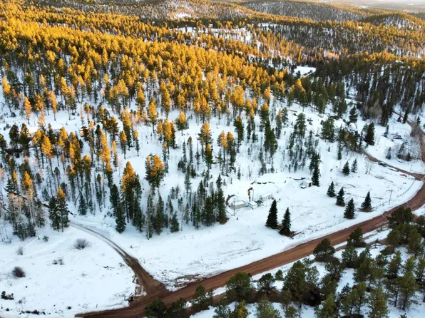 974 W Bison Creek Trl, Divide, CO 80814