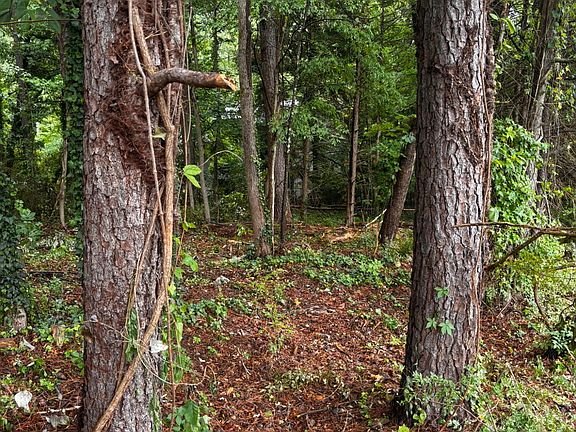 4th image of LOT 35 Ryman Ridge Rd