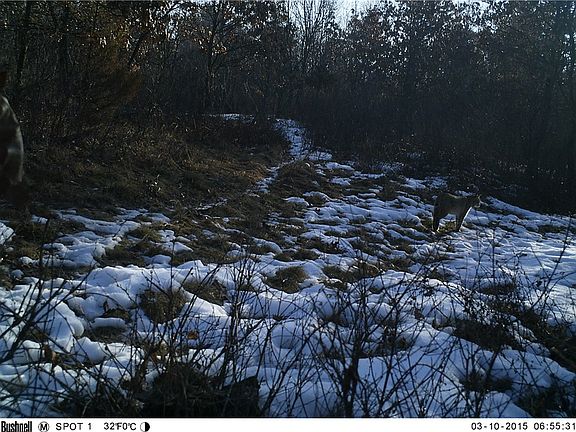 4th image of N/A Bush Rd.