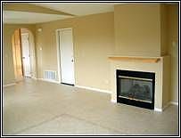 Bright open areas