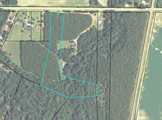 5 Acres Pope Rd, Hawknsville, GA 31036