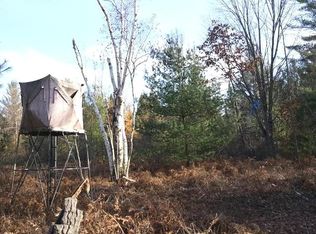 840 E Ridge Rd, Gladwin, MI 48624