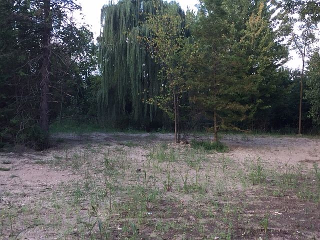 2nd image of 5395 Rochester Rd