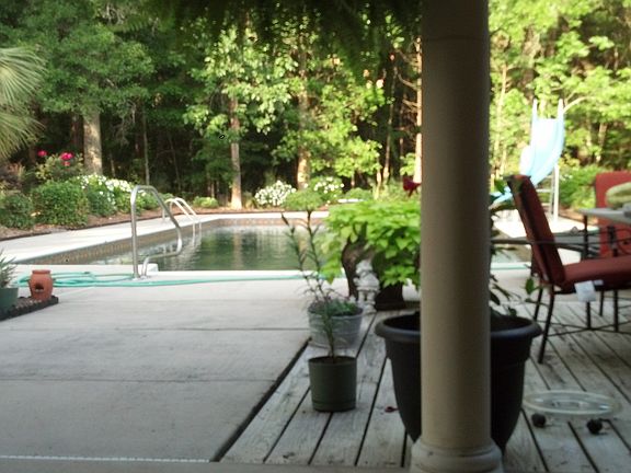 patio view