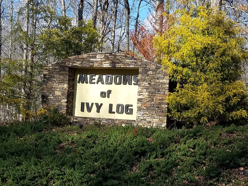 Welcome Neighbor!