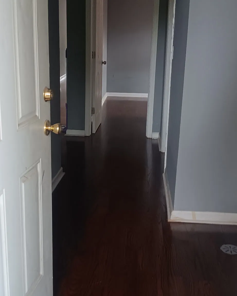 2 bed, 800 sqft, $1,550 — Photo 4