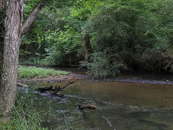 5th image of 0 County Road 88