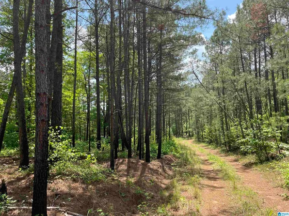 0 County Road 268 #1, Roanoke, AL 36274