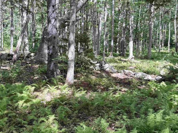 0 Cross Road, Windham, VT 05359
