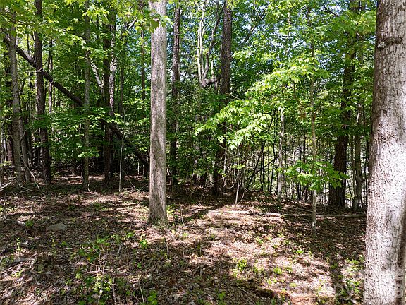 4th image of 99999 Brevard Rd