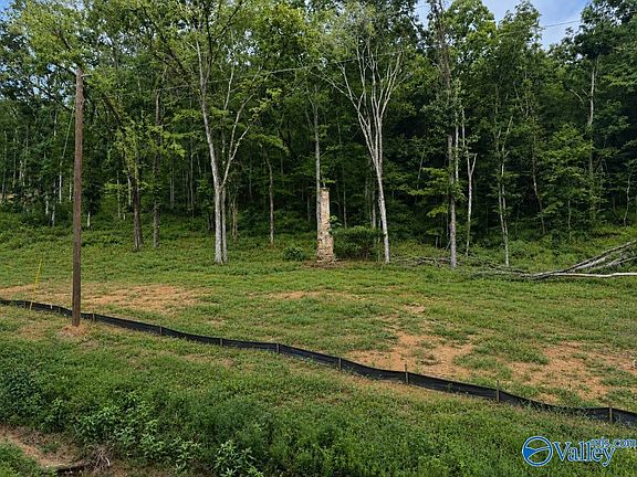 5th image of LOT 10 County Road 114