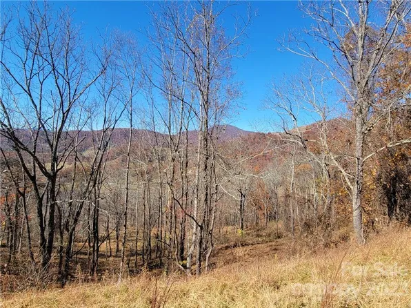 1300 Glades Rd #3, Clyde, NC 28721