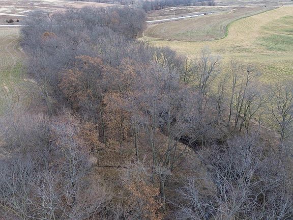 3rd image of Tamarack Ave