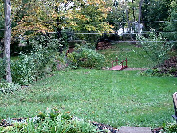Exterior BACK Yard 1