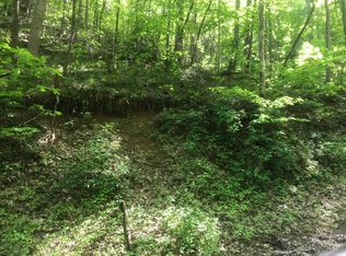 Black Walnut Flats Rd, Sevierville, TN 37862