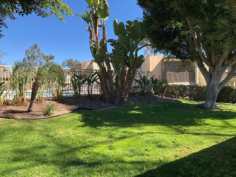 Lots of green areas