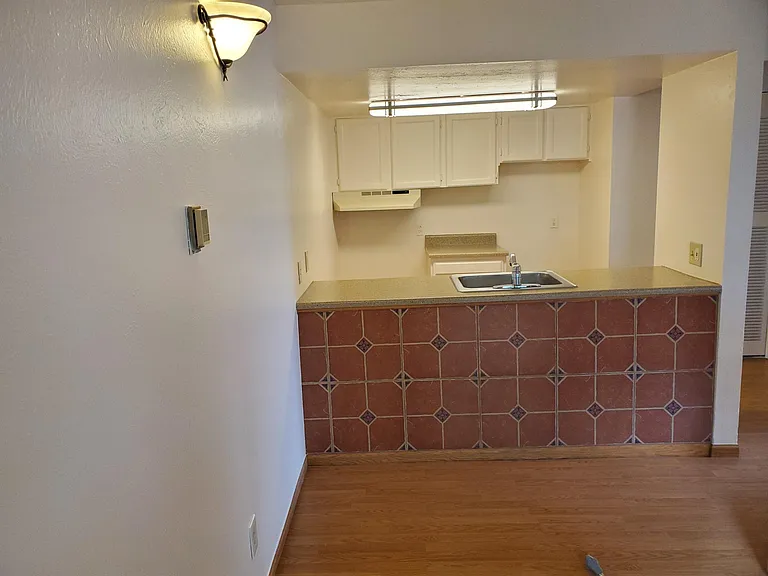 1111 Maxwell Ave #221 — Photo 8