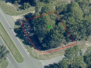 375 W Goldcoast Pl, Citrus Springs, FL 34434