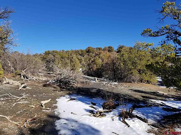 4th image of 10300 Road 36.7