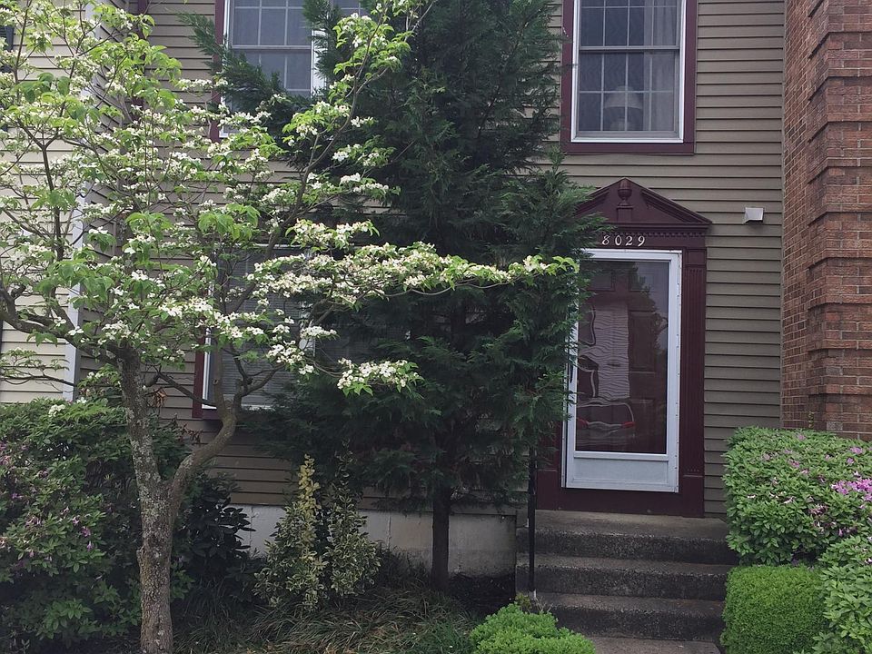 House front