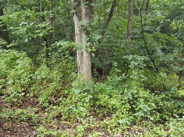 10 Magnolia Dr, Front Royal, VA 22630