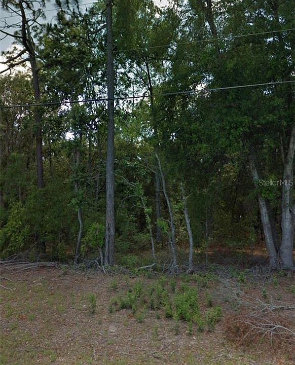 1st image of 7756 N Pitcairn Way