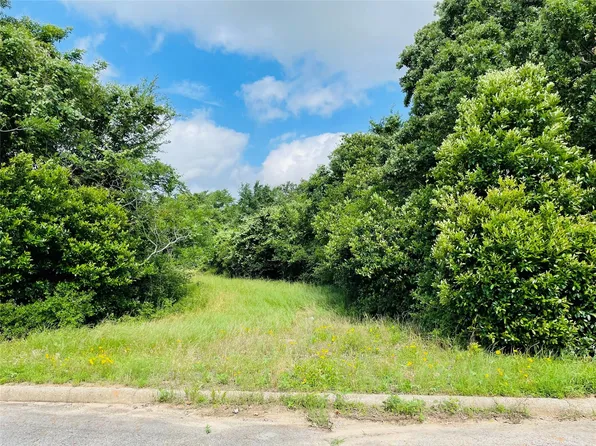 18 Holly Ct, Buffalo, TX 75831