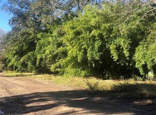 17958 County Road 426, Brazoria, TX 77422