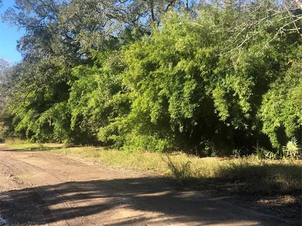 17958 County Road 426, Brazoria, TX 77422