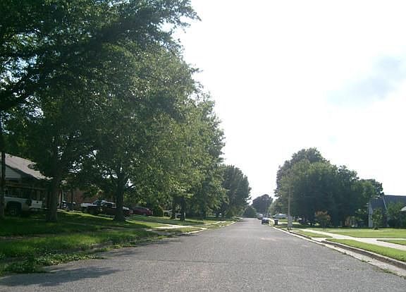 4th image of 3845 Ivanhoe Dr