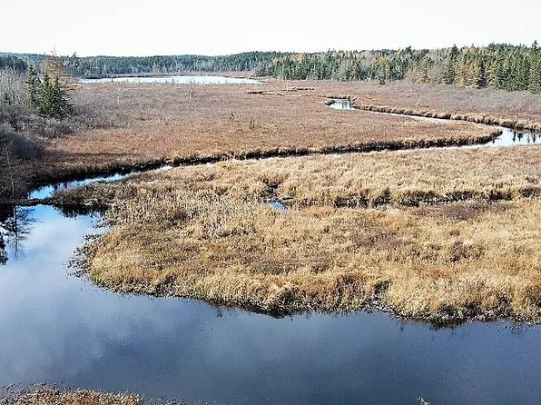 Lot 1 US. Rt 1, Whiting, ME 04691