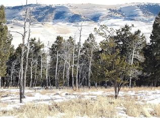 5168 Middle Fork Vis, Fairplay, CO 80440