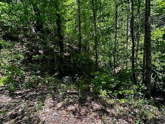 3rd image of 0 Rockhouse Rd Lot 48