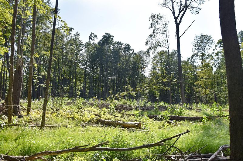 4th image of 00 BARKERSVILLE Road