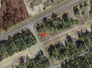 0 SE 113th Street Rd #1, Ocklawaha, FL 32179