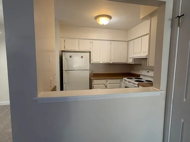 4118 Peppertree Ln — Photo 12