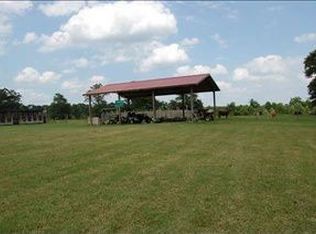 360 Dykes Davis Rd, Samson, AL 36477