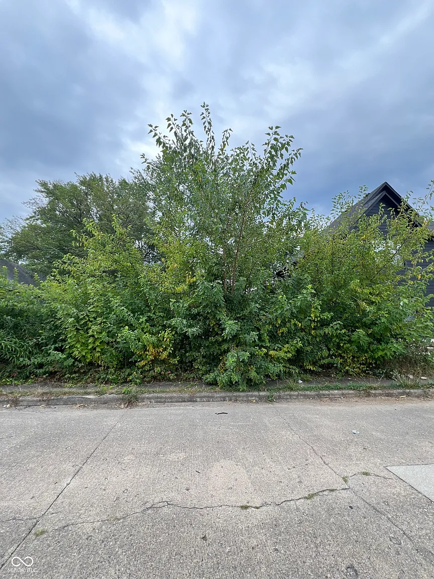 2211 Lexington Ave photo 1