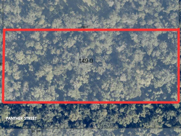 Panther St, Oviedo, FL 32765