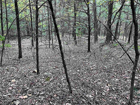 3rd image of 1 Honeysuckle Rd